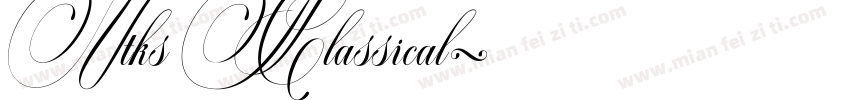 Vtks Classical字体转换